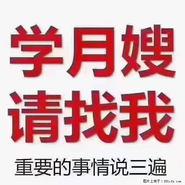 为什么要学习月嫂，育婴师？ - 新手上路 - 宜昌生活社区 - 宜昌28生活网 yc.28life.net