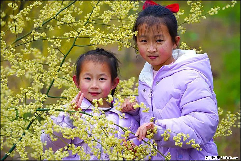 【春天，广西桂林灌阳县向您发出邀请！】米珠山前有片山苍子花在飘香 - 游山玩水 - 宜昌生活社区 - 宜昌28生活网 yc.28life.net