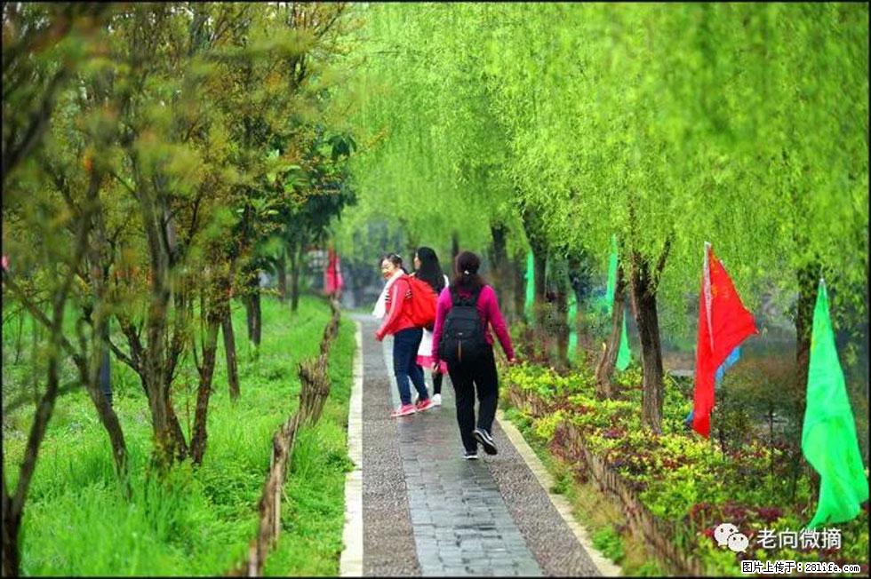 【春天，广西桂林灌阳县向您发出邀请！】江口老街又逢春 - 游山玩水 - 宜昌生活社区 - 宜昌28生活网 yc.28life.net