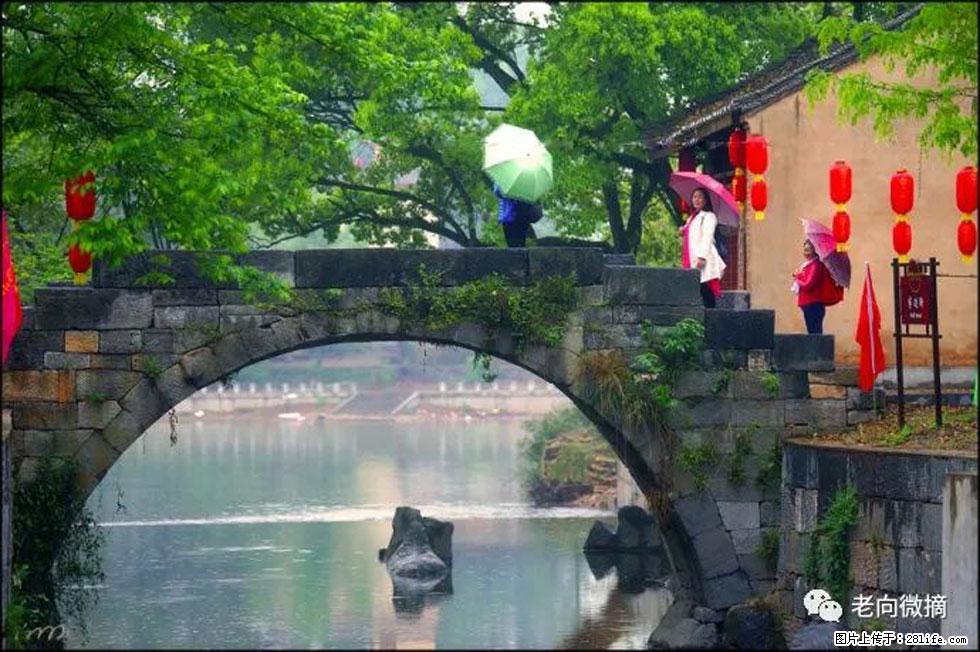 【春天，广西桂林灌阳县向您发出邀请！】江口老街又逢春 - 游山玩水 - 宜昌生活社区 - 宜昌28生活网 yc.28life.net