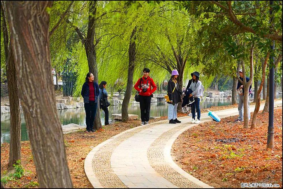 【春天，广西桂林灌阳县向您发出邀请！】江口老街又逢春 - 游山玩水 - 宜昌生活社区 - 宜昌28生活网 yc.28life.net