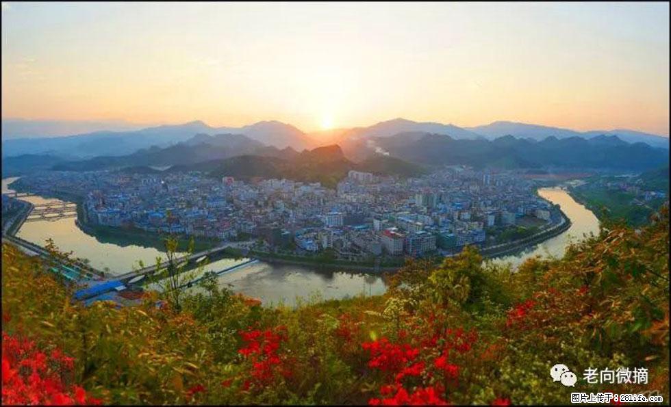 【春天，广西桂林灌阳县向您发出邀请！】登麒麟山，相约映山红 - 游山玩水 - 宜昌生活社区 - 宜昌28生活网 yc.28life.net
