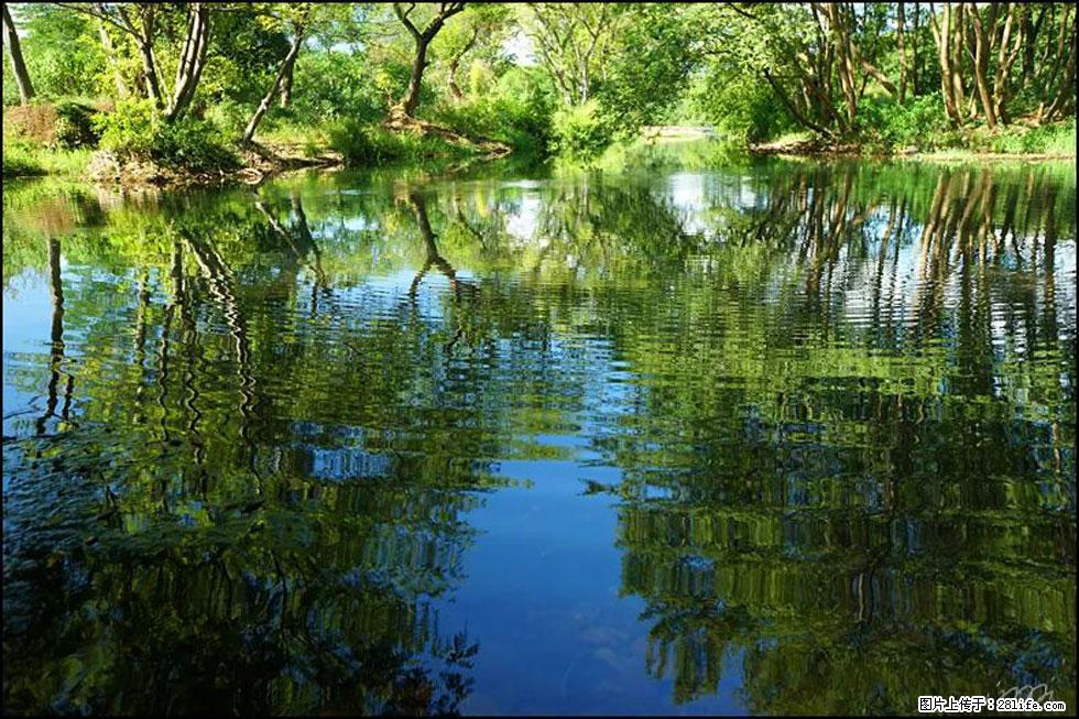 【春天，广西桂林灌阳县向您发出邀请！】熊家寨湿地公园 - 游山玩水 - 宜昌生活社区 - 宜昌28生活网 yc.28life.net
