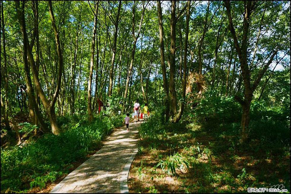 【春天，广西桂林灌阳县向您发出邀请！】熊家寨湿地公园 - 游山玩水 - 宜昌生活社区 - 宜昌28生活网 yc.28life.net