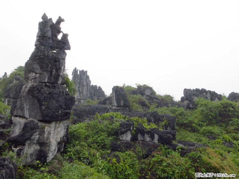 桂林旅游名城景点：灌阳文市石林 - 游山玩水 - 宜昌生活社区 - 宜昌28生活网 yc.28life.net