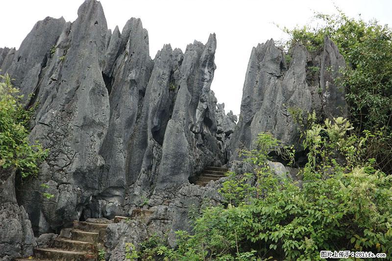 桂林旅游名城景点：灌阳文市石林 - 游山玩水 - 宜昌生活社区 - 宜昌28生活网 yc.28life.net