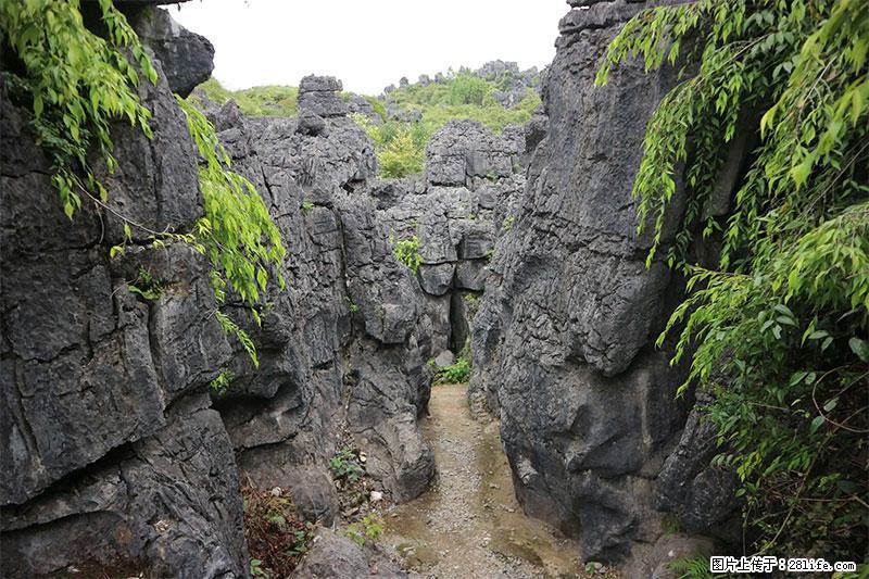 桂林旅游名城景点：灌阳文市石林 - 游山玩水 - 宜昌生活社区 - 宜昌28生活网 yc.28life.net