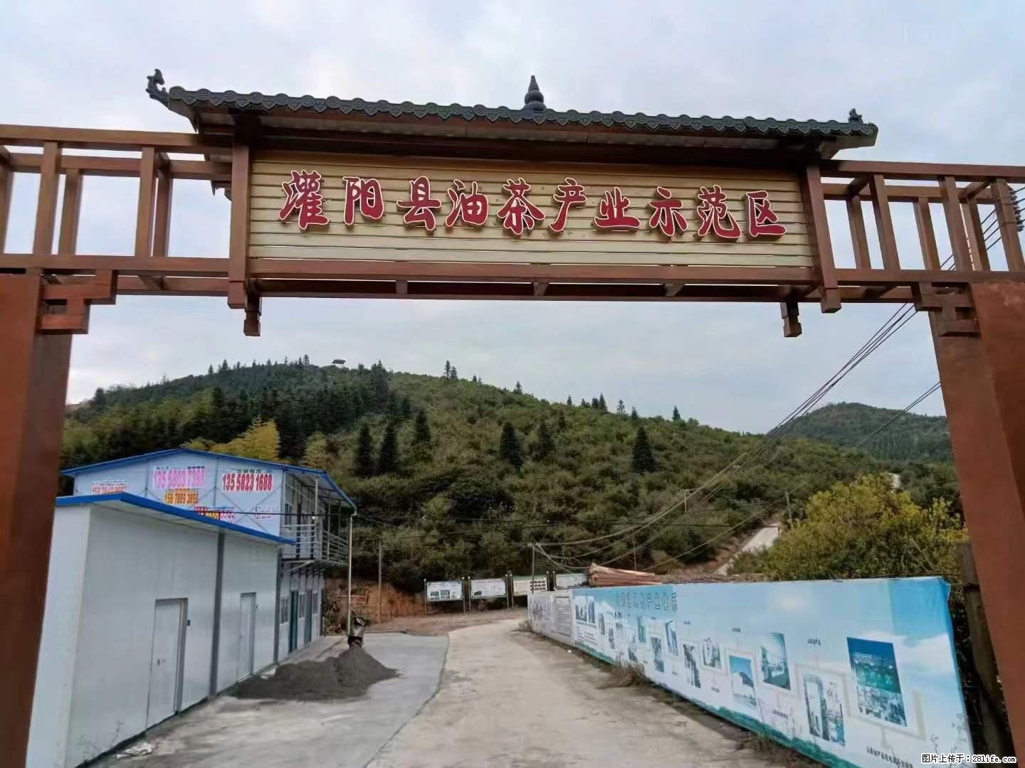 【灌阳县油茶产业示范区】一个有着充实的精神生活的人，对待身外之物自会有一种淡泊的态度 - 美食天地 - 宜昌生活社区 - 宜昌28生活网 yc.28life.net