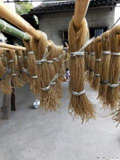 【灌阳正宗红薯粉】美女家里自己做的，干净卫生，假一赔十，价格合理，抢购电话：13737312895 - 宜昌28生活网 yc.28life.net
