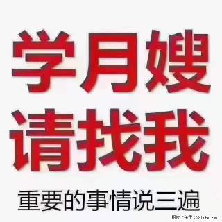 为什么要学习月嫂，育婴师？ - 宜昌28生活网 yc.28life.net