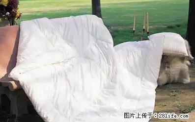 被子有异味？只要这样做，比晒太阳还强100倍！ - 家居生活 - 宜昌生活社区 - 宜昌28生活网 yc.28life.net