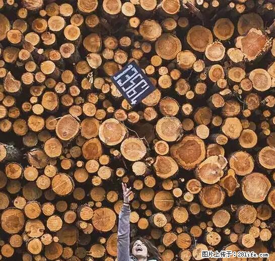 辞掉工作周游世界？现在他们在洗厕所…… - 游山玩水 - 宜昌生活社区 - 宜昌28生活网 yc.28life.net