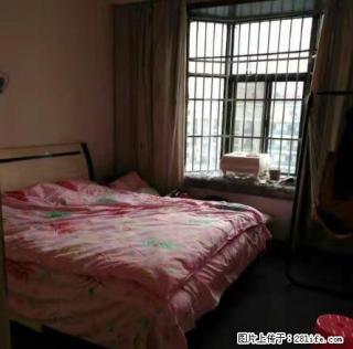 不收中介费 免费信息 价格面议精装修 家具家电齐全拎包即住 - 宜昌28生活网 yc.28life.net
