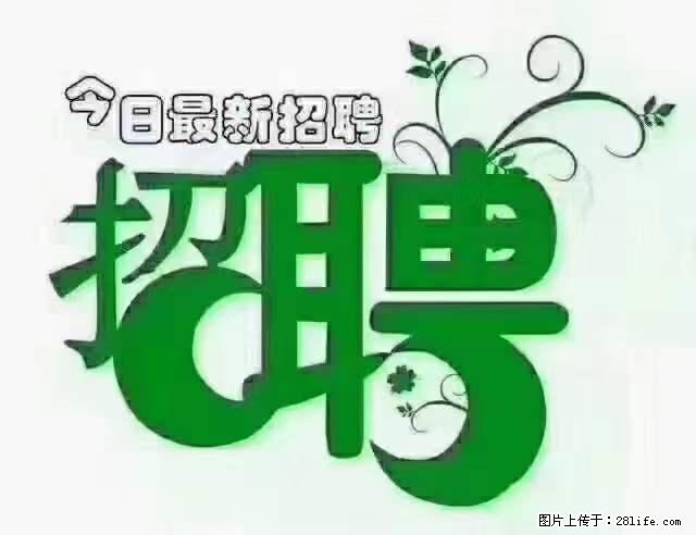 【招聘】产康师 - 职场交流 - 宜昌生活社区 - 宜昌28生活网 yc.28life.net