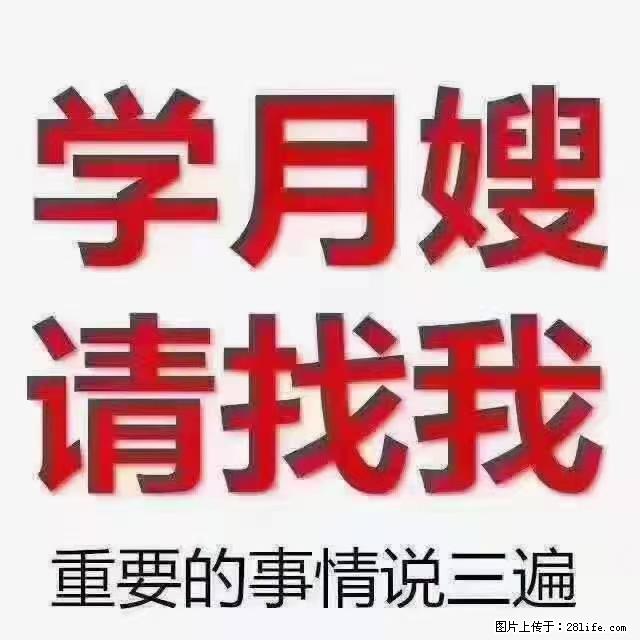 【招聘】月嫂，上海徐汇区 - 职场交流 - 宜昌生活社区 - 宜昌28生活网 yc.28life.net