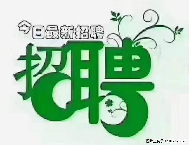 上海隔离酒店招人：55岁以下 男女不限 - 职场交流 - 宜昌生活社区 - 宜昌28生活网 yc.28life.net