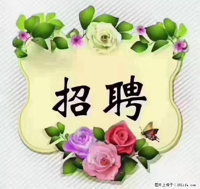 【招聘】住家育儿嫂，上户日期：4月4日，工作地址：上海 黄浦区 - 职场交流 - 宜昌生活社区 - 宜昌28生活网 yc.28life.net