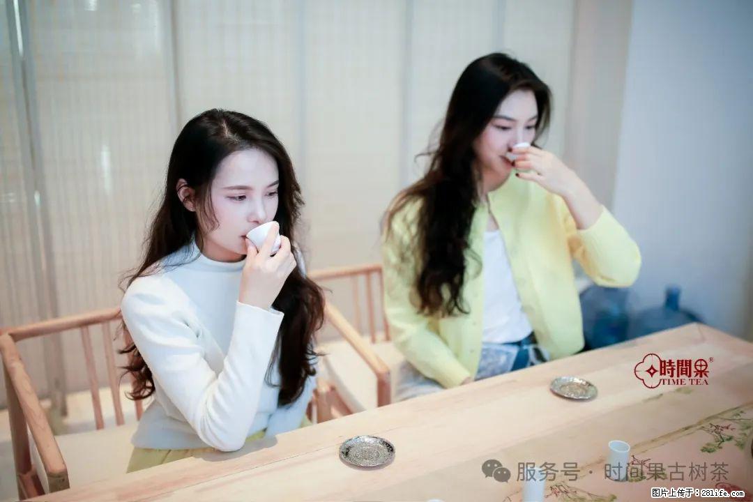 时间果百年古树龙珠普洱生茶 - 购物交流 - 宜昌生活社区 - 宜昌28生活网 yc.28life.net