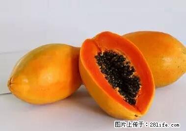 晕车、脚气、牙齿变黄、皮肤粗糙？学会这些三分钟搞定！ - 宜昌生活资讯 - 宜昌28生活网 yc.28life.net