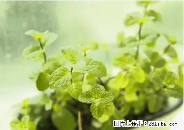 晕车、脚气、牙齿变黄、皮肤粗糙？学会这些三分钟搞定！ - 宜昌生活资讯 - 宜昌28生活网 yc.28life.net