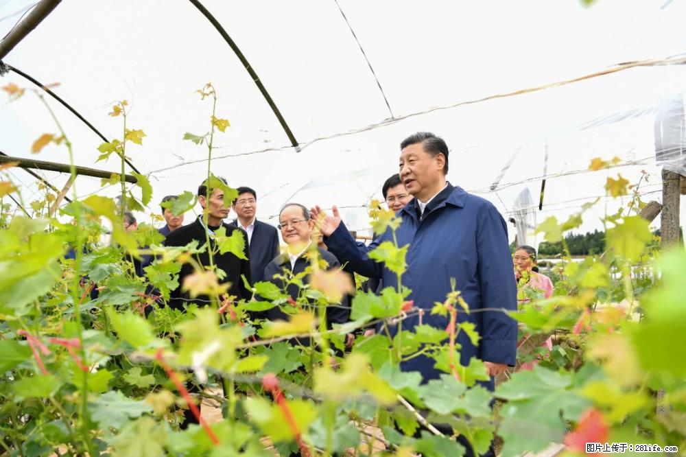 习近平赴广西考察调研 - 宜昌生活资讯 - 宜昌28生活网 yc.28life.net