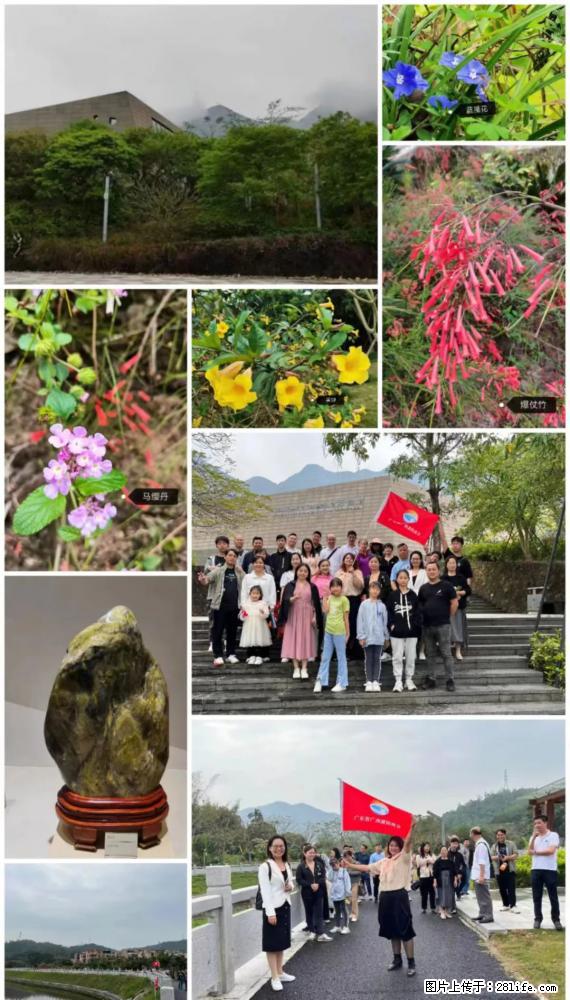 “粤灌文化 美好生活”油茶文化主题活动在广东深圳成功举办 - 宜昌生活资讯 - 宜昌28生活网 yc.28life.net