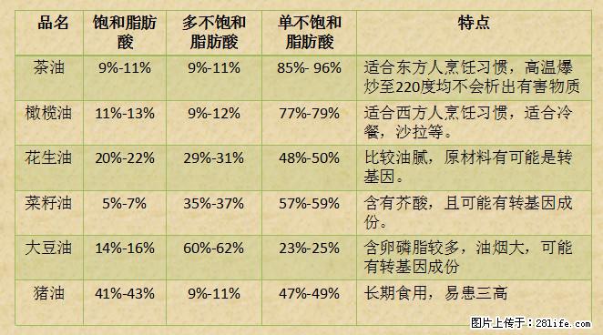 揭秘茶油的5大核心营养成分！被称为人体健康的“守护盾”！ - 宜昌生活资讯 - 宜昌28生活网 yc.28life.net