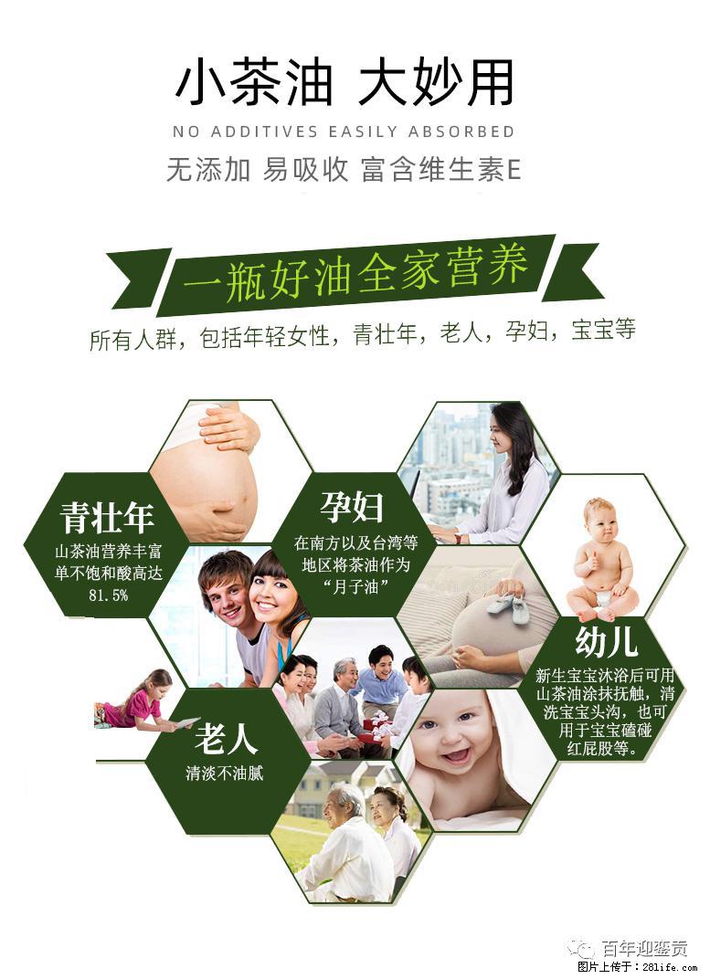 世界没有真相，只有认知，最好的食用油是中国的山茶油！ - 宜昌生活资讯 - 宜昌28生活网 yc.28life.net