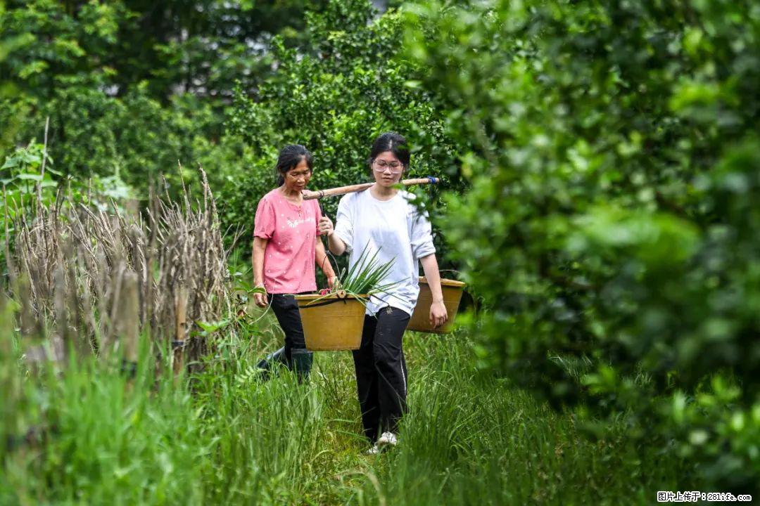 全网追的“扁担女孩”，找了一份暑假工，时薪12元 - 宜昌生活资讯 - 宜昌28生活网 yc.28life.net