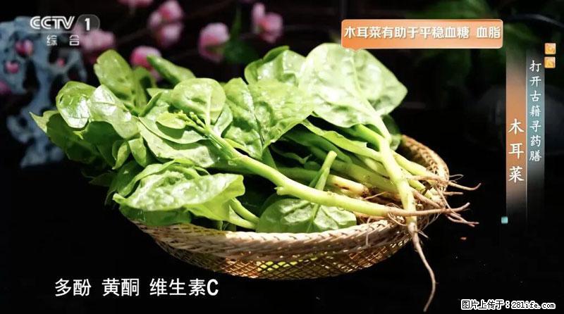 比牛奶补钙还厉害！凉血解毒、稳血糖...这菜冬天必吃，很多人却当草 - 宜昌生活资讯 - 宜昌28生活网 yc.28life.net