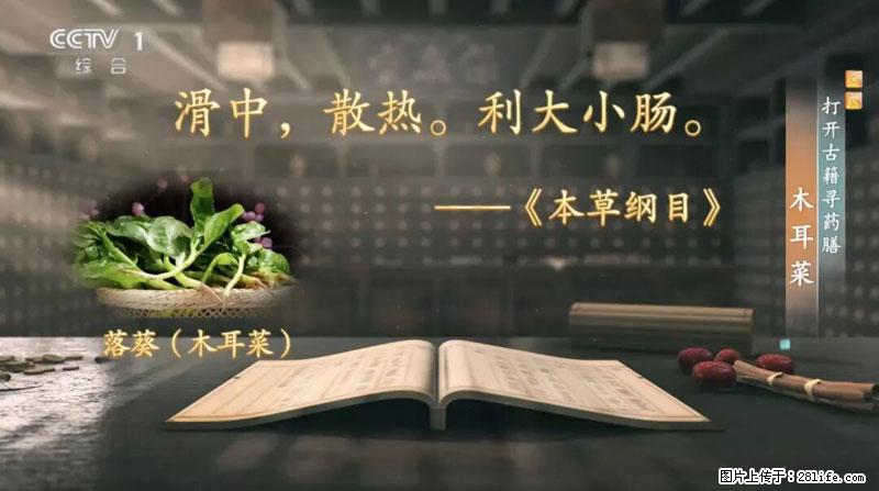 比牛奶补钙还厉害！凉血解毒、稳血糖...这菜冬天必吃，很多人却当草 - 宜昌生活资讯 - 宜昌28生活网 yc.28life.net
