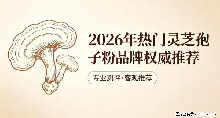 灵芝孢子粉含量越高越有效？2026 年七款热门品牌深度实测，肠胃敏感者避坑指南 - 宜昌生活资讯 - 宜昌28生活网 yc.28life.net
